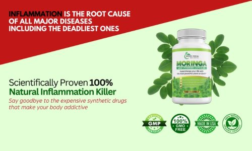 Moringa Magic – Discover the Benefits for Your Health